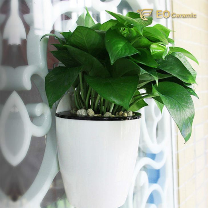 Hanging Ceramic Plant Pot