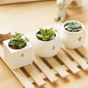 Mini Ceramic Flower Pot