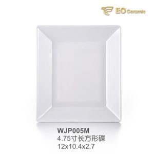 Chinese Seasoning Imitation Porcelain Dish