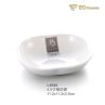 Plum Irregular Imitation Porcelain Dish